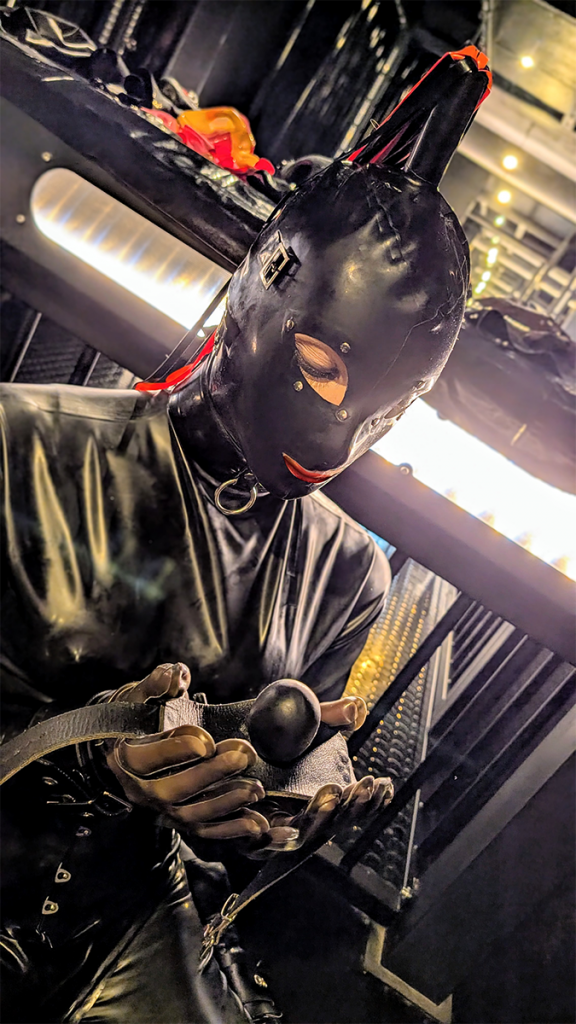 2025 10 avelyne noire knebel